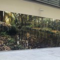 Susanne Wehmer, pintura hiperrealista, mural bosque