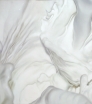 susanne-wehmer-pintura-hiperrealista-milk-drop-02