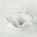 Susanne Wehmer, pintura hiperrealista, milk drop 01