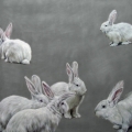 Susanne Wehmer - Pintura Hiperrealista - Bunnies #4