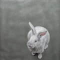 Susanne Wehmer - Pintura Hiperrealista - Bunnies #8