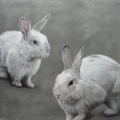 Susanne Wehmer - Pintura Hiperrealista - Bunnies #9